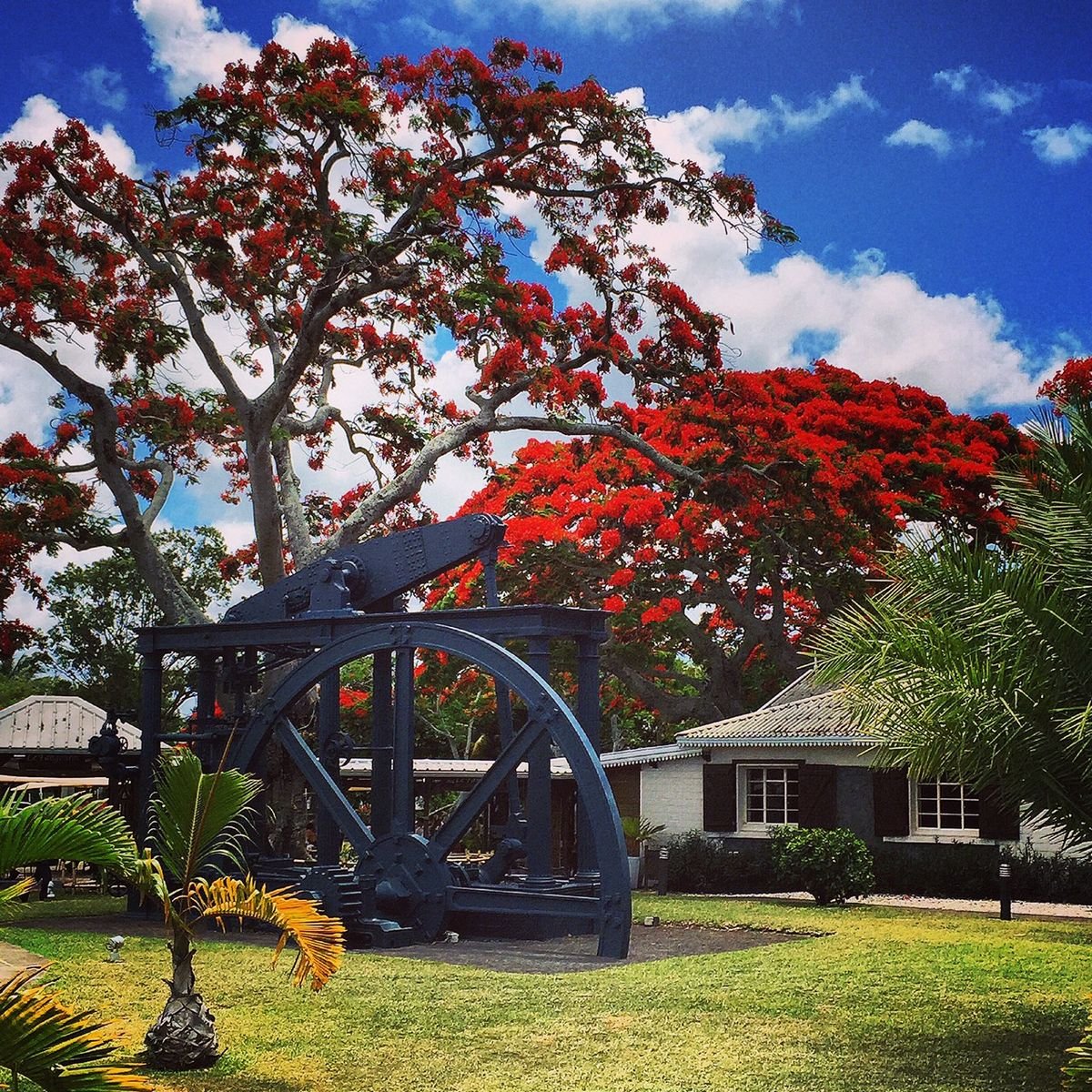 L’Aventure du Sucre